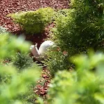 婆洛芙尼克酒店 3*