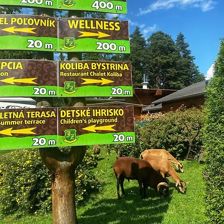 Polovnik 3* Demanovská Dolina