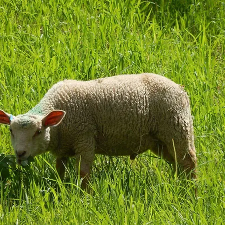 Polovnik Hotel Demanovska Dolina