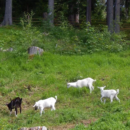 Hotel Polovnik Demänovská Dolina
